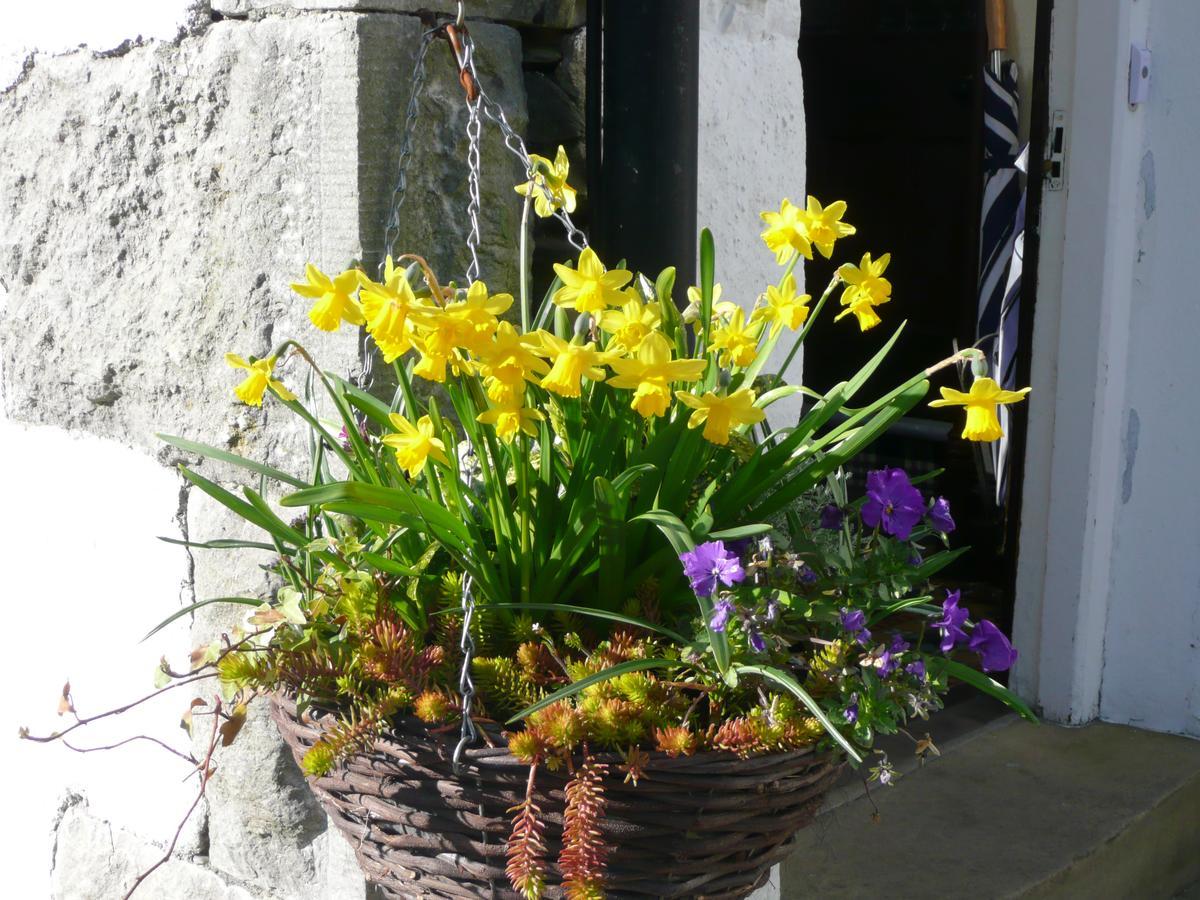 Glenville House - Adults Only - Incl Free Off-Site Health Club With Swimming Pool, Hot Tub, Sauna & Steam Room Bowness-on-Windermere Eksteriør billede